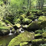 Fuchsenstein 44 * Oberkreuzberg